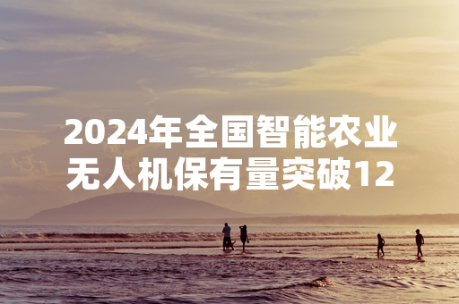 2024年全国智能农业无人机保有量突破12万台 农业农村部完成首批购置补贴发放