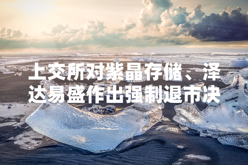 上交所对紫晶存储、泽达易盛作出强制退市决定 两公司成为科创板首批退市企业