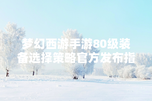 梦幻西游手游80级装备选择策略官方发布指引