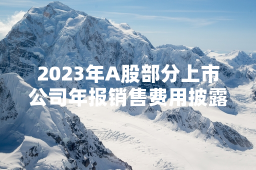 2023年A股部分上市公司年报销售费用披露异常 沪深交易所启动专项核查