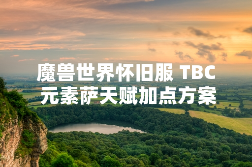 魔兽世界怀旧服 TBC 元素萨天赋加点方案引玩家热议