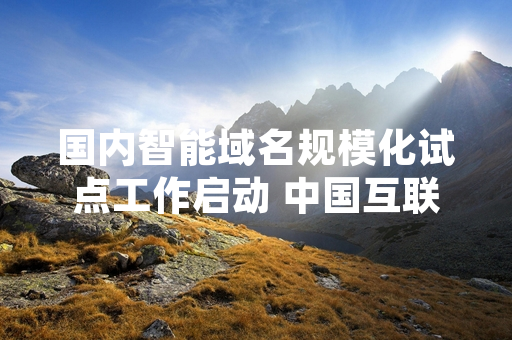 国内智能域名规模化试点工作启动 中国互联网络信息中心公布首批接入统计数据
