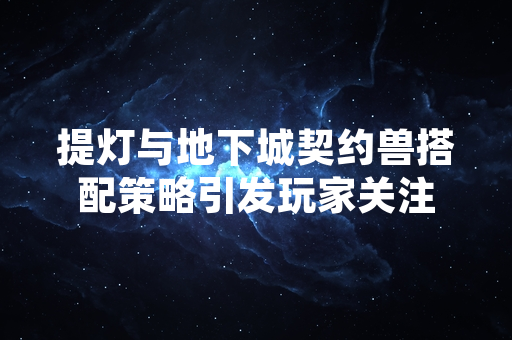 提灯与地下城契约兽搭配策略引发玩家关注