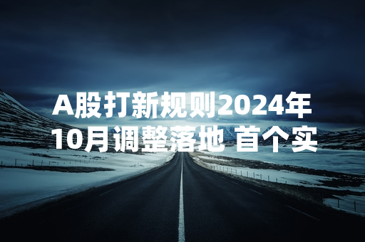 A股打新规则2024年10月调整落地 首个实施周12只新股完成申购