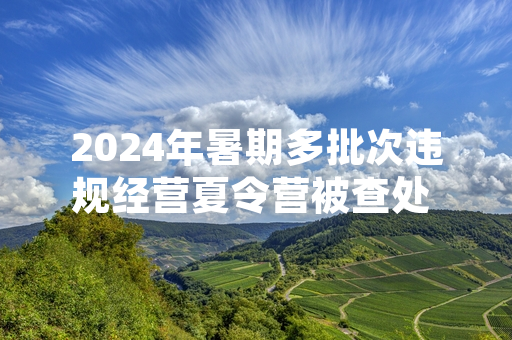2024年暑期多批次违规经营夏令营被查处 多地文旅市场监管部门开展专项整治