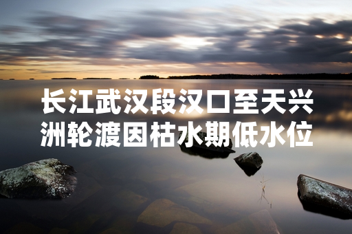 长江武汉段汉口至天兴洲轮渡因枯水期低水位临时停航 交通运输部门发布换乘指引