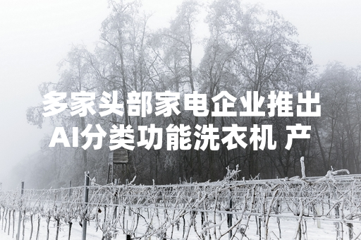 多家头部家电企业推出AI分类功能洗衣机 产品已进入国内零售市场