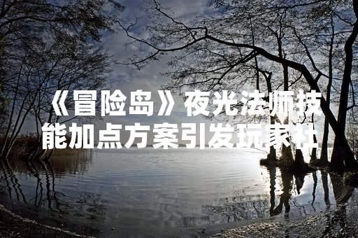 《冒险岛》夜光法师技能加点方案引发玩家社区讨论