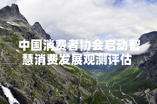 中国消费者协会启动智慧消费发展观测评估 首批试点数据已完成采集