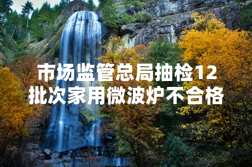 市场监管总局抽检12批次家用微波炉不合格 涉事产品已全部启动召回程序