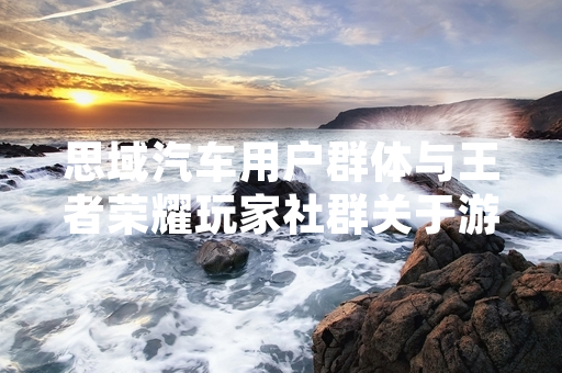思域汽车用户群体与王者荣耀玩家社群关于游戏术语思域的网络讨论