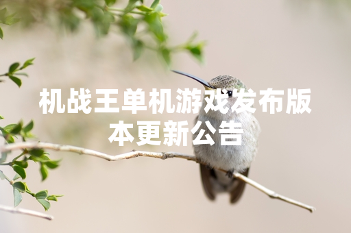 机战王单机游戏发布版本更新公告
