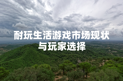 耐玩生活游戏市场现状与玩家选择