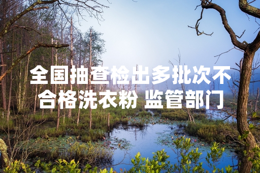 全国抽查检出多批次不合格洗衣粉 监管部门已开展下架召回处置工作