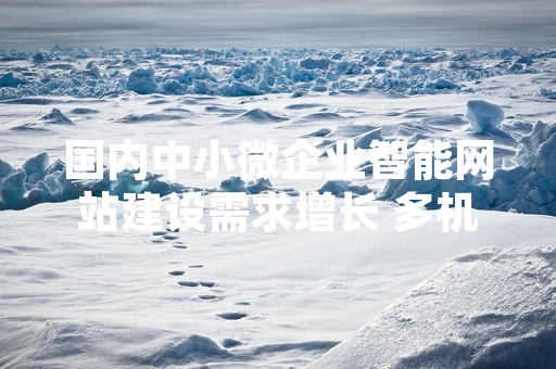 国内中小微企业智能网站建设需求增长 多机构推出适配性标准化服务
