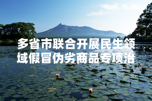 多省市联合开展民生领域假冒伪劣商品专项治理 已完成首轮经营主体排查