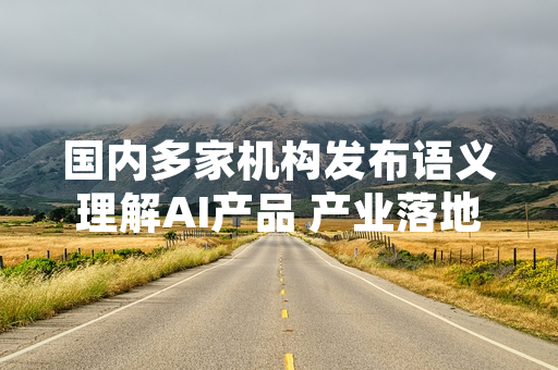 国内多家机构发布语义理解AI产品 产业落地进程取得阶段性进展