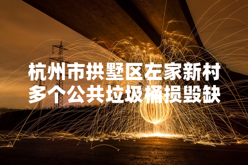 杭州市拱墅区左家新村多个公共垃圾桶损毁缺失 街道已完成全部更换补设
