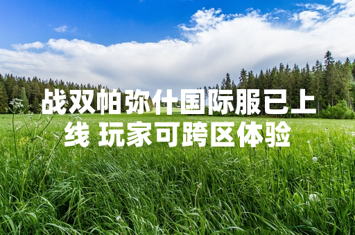 战双帕弥什国际服已上线 玩家可跨区体验