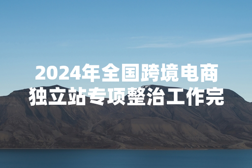 2024年全国跨境电商独立站专项整治工作完成年度目标任务