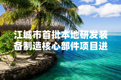 江城市首批本地研发装备制造核心部件项目进入中试阶段