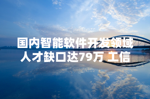 国内智能软件开发领域人才缺口达79万 工信部启动专项人才培养工作