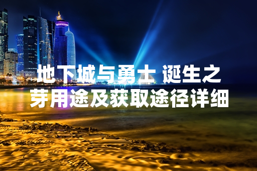 地下城与勇士 诞生之芽用途及获取途径详细说明