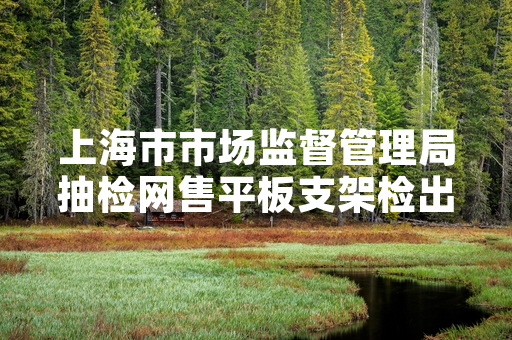 上海市市场监督管理局抽检网售平板支架检出13批次不合格 已督促平台下架涉事商品