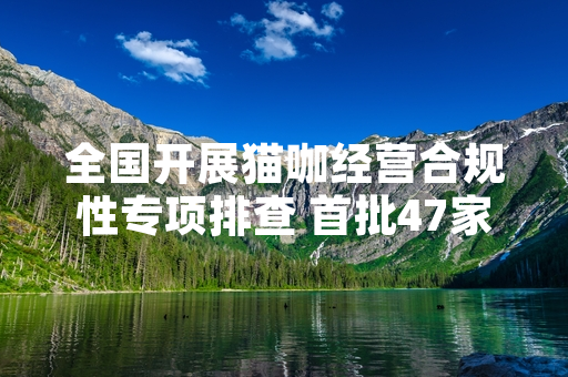 全国开展猫咖经营合规性专项排查 首批47家问题经营主体完成整改