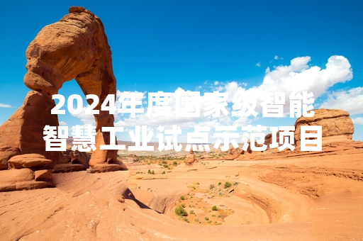 2024年度国家级智能智慧工业试点示范项目完成阶段性验收