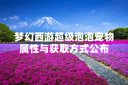 梦幻西游超级泡泡宠物属性与获取方式公布