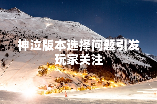 神泣版本选择问题引发玩家关注