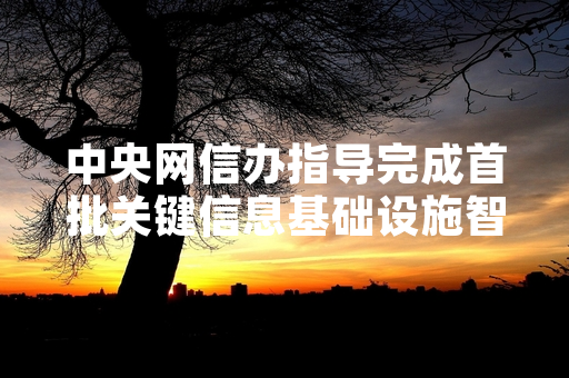 中央网信办指导完成首批关键信息基础设施智能防火墙部署任务