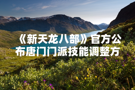 《新天龙八部》官方公布唐门门派技能调整方案