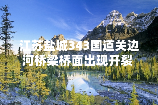 江苏盐城343国道关边河桥梁桥面出现开裂 相关部门已启动封闭检测处置