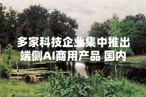 多家科技企业集中推出端侧AI商用产品 国内行业落地进入起步阶段