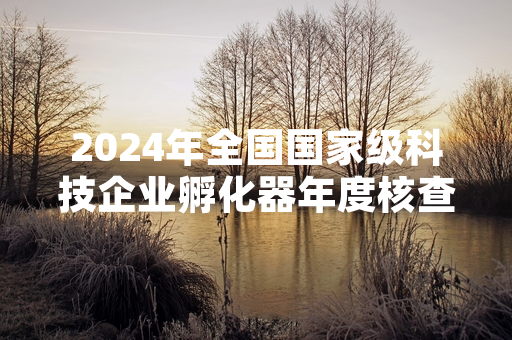 2024年全国国家级科技企业孵化器年度核查工作完成 127家不合格机构被取消资质