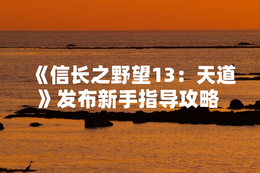 《信长之野望13：天道》发布新手指导攻略 助力玩家快速上手