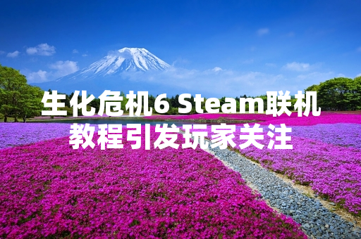 生化危机6 Steam联机教程引发玩家关注