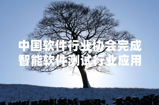 中国软件行业协会完成智能软件测试行业应用专项调研 发布相关统计数据及适配指南