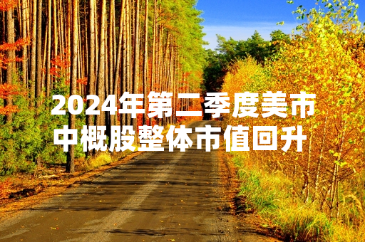 2024年第二季度美市中概股整体市值回升 中美跨境审计监管合作完成新一轮常规核查