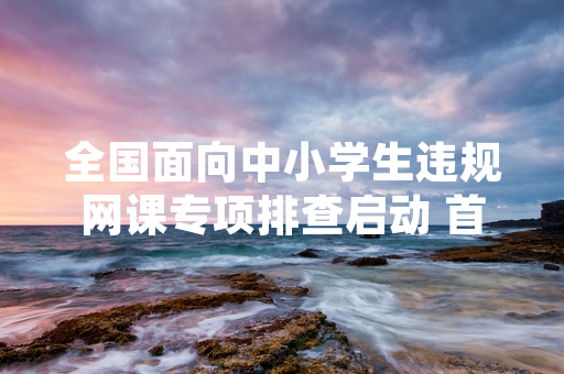 全国面向中小学生违规网课专项排查启动 首批违规内容已完成处置