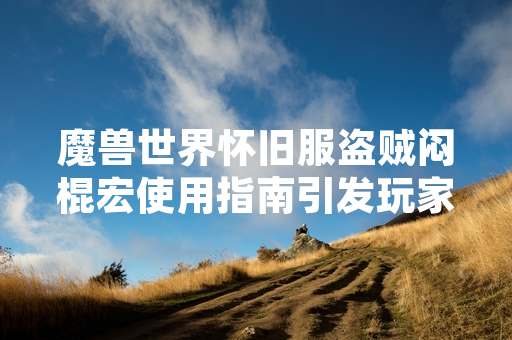 魔兽世界怀旧服盗贼闷棍宏使用指南引发玩家讨论