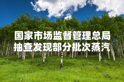 国家市场监督管理总局抽查发现部分批次蒸汽拖把存在安全隐患 涉事企业已启动召回工作