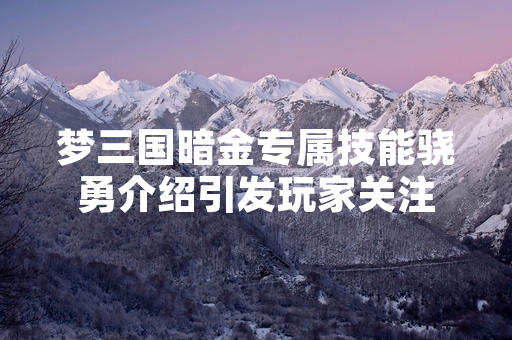 梦三国暗金专属技能骁勇介绍引发玩家关注