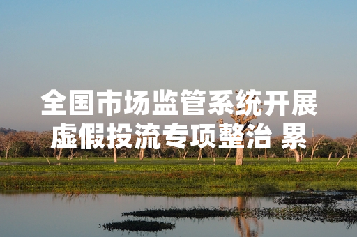 全国市场监管系统开展虚假投流专项整治 累计查处违法案件127起
