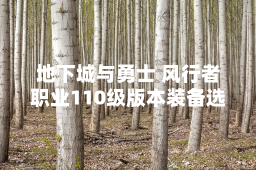 地下城与勇士 风行者职业110级版本装备选择引发玩家讨论