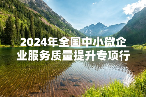 2024年全国中小微企业服务质量提升专项行动首批服务包完成发放
