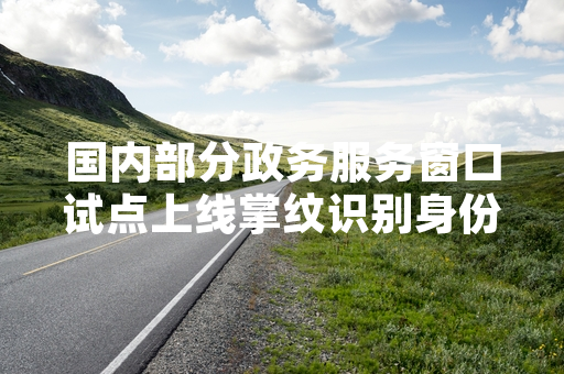 国内部分政务服务窗口试点上线掌纹识别身份核验功能 首批试点完成阶段性部署