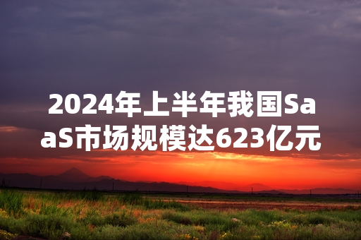2024年上半年我国SaaS市场规模达623亿元 多部门启动行业合规性专项核查